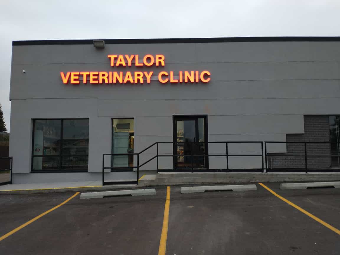 Taylor vet clinic sales hours