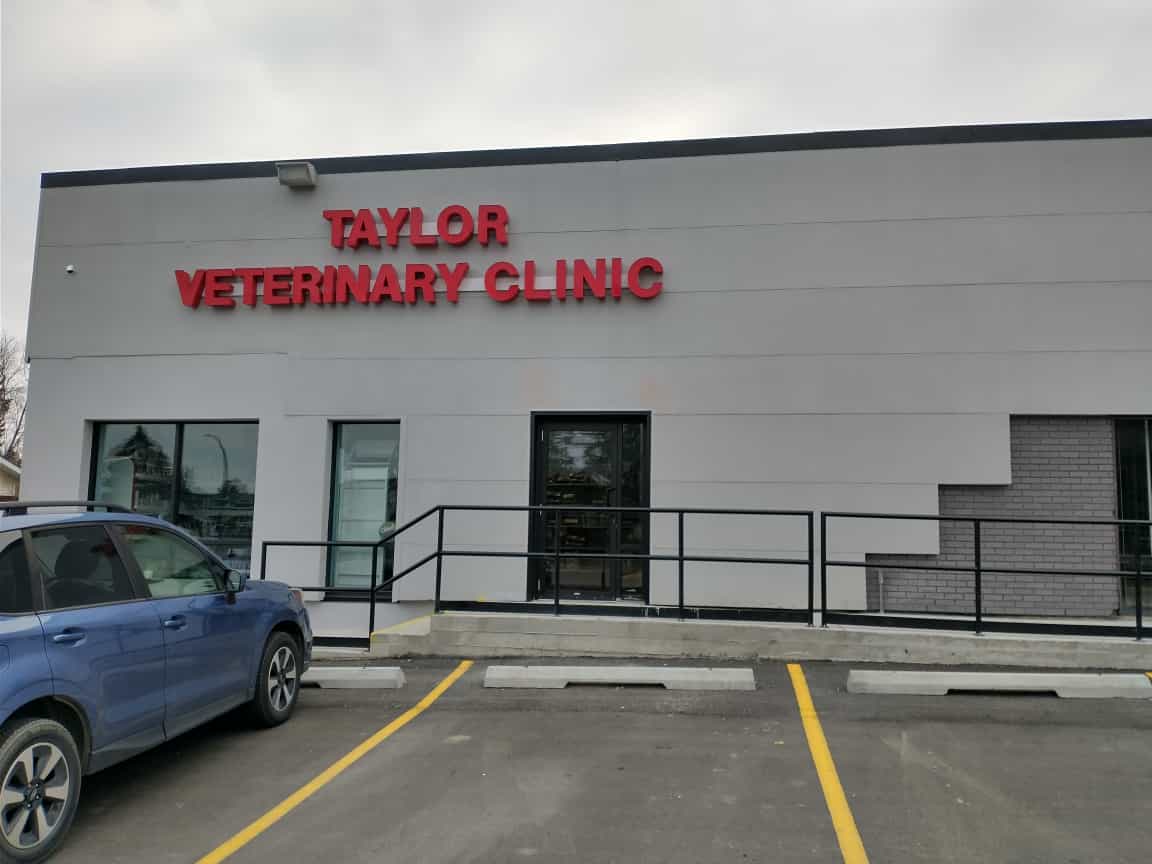 Taylor vet clinic sales hours